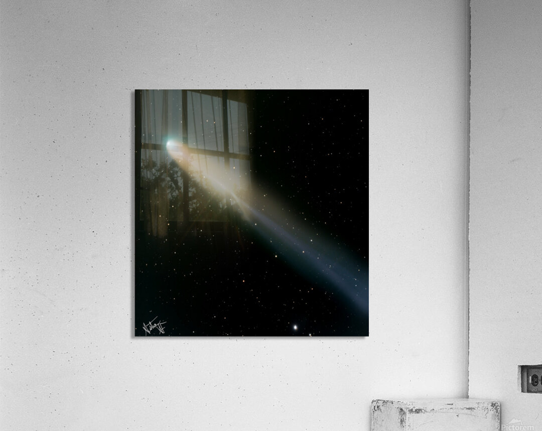 C2025 A6 Lemmon Acrylic Print