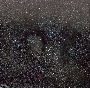 LDN 700 Dark Nebula