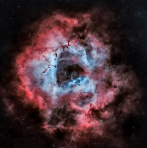 Caldwell 49 - The Rosette Nebula