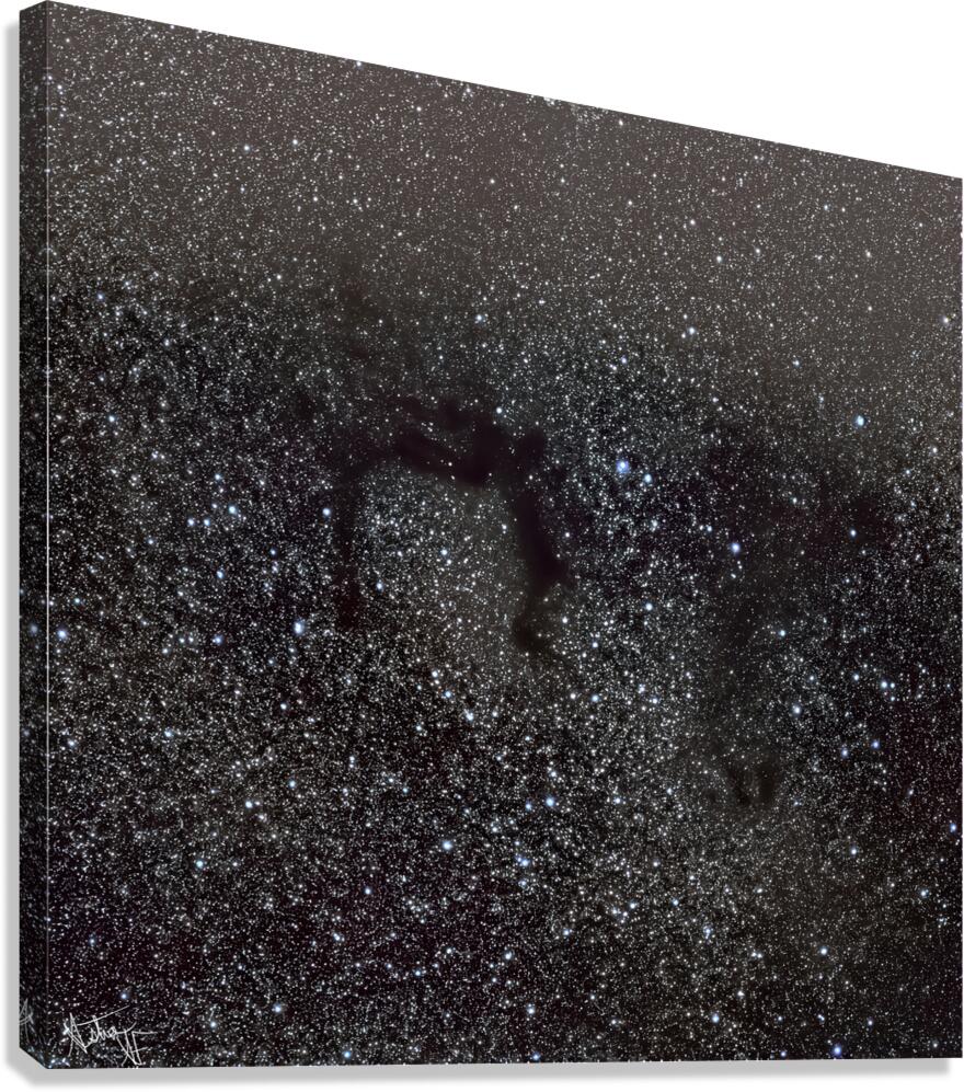 LDN 700 Dark Nebula Canvas Print