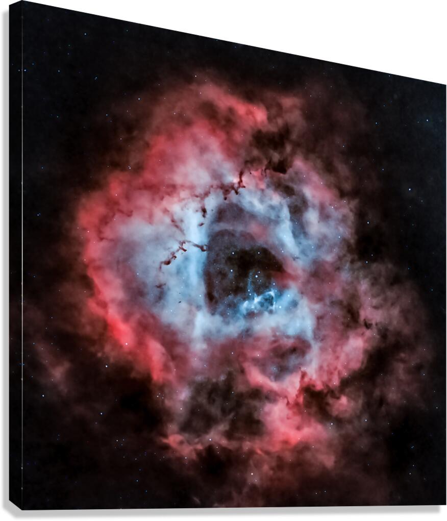 Caldwell 49 - The Rosette Nebula Canvas Print