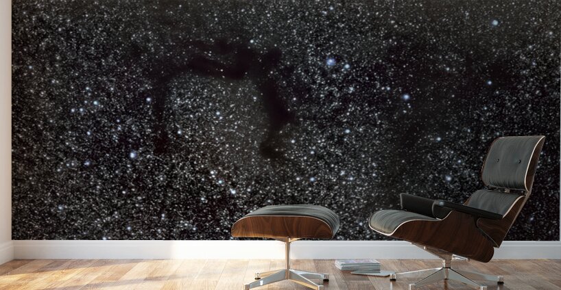 LDN 700 Dark Nebula Wall Murals