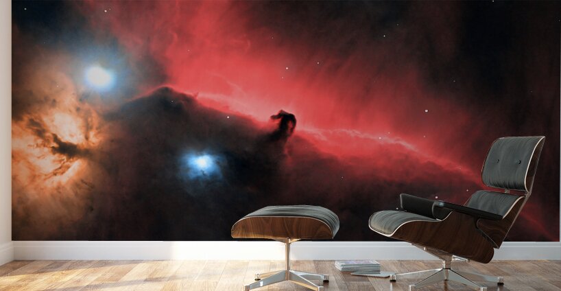 IC 434 - The Horsehead Nebula Wall Murals