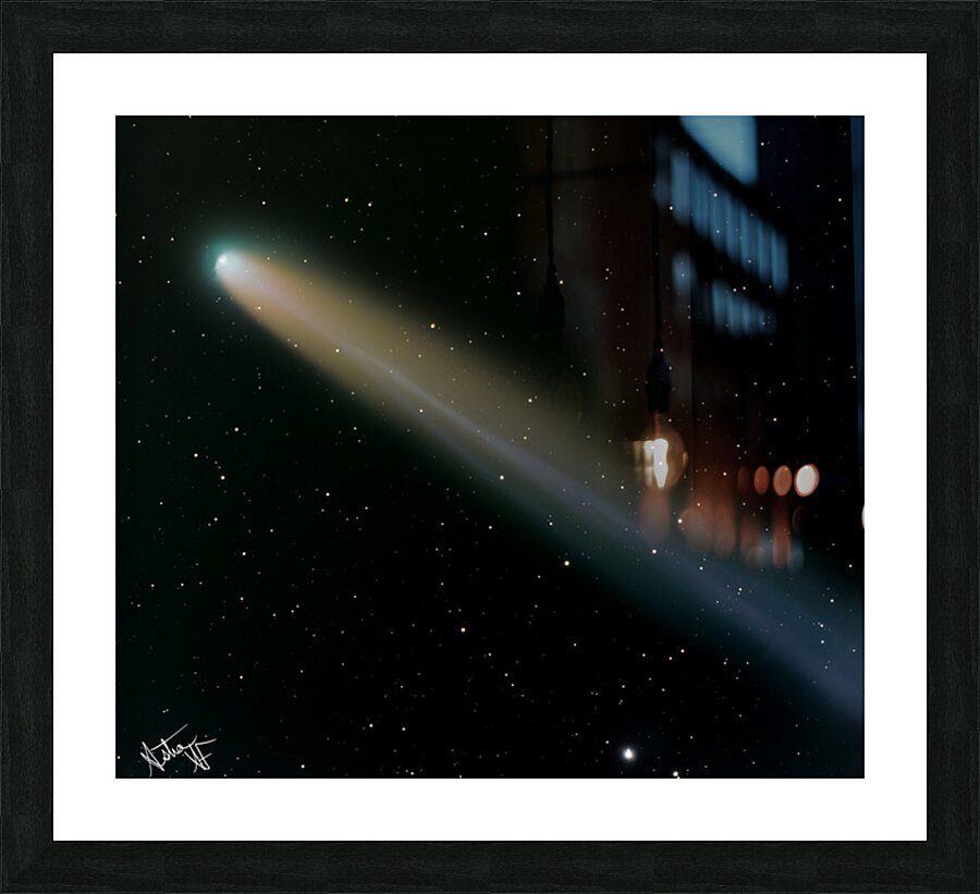 C2025 A6 Lemmon Picture Frame print