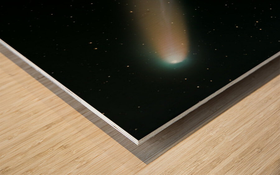 C2025 A6 Lemmon Wood print